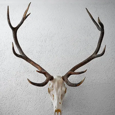 Large House With Big Garden * Hintersee