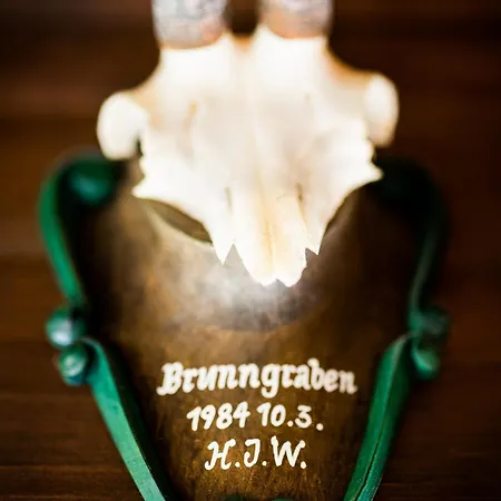 Large House With Big Garden Hintersee