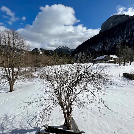 Large House With Big Garden Сasa de vacaciones Hintersee