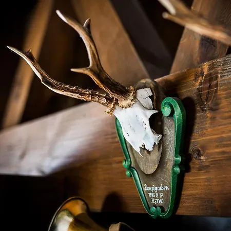 Large House With Big Garden