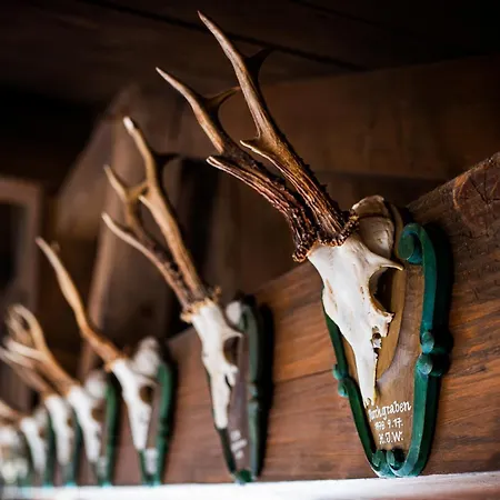 Large House With Big Garden