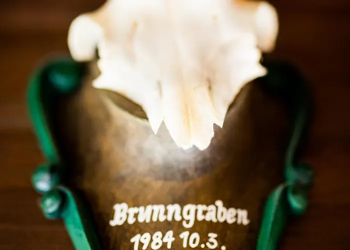 Large House With Big Garden Hintersee